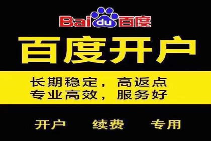 百度竞价排名服务：成功案例解析